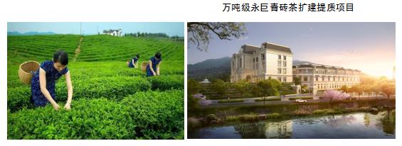 1664555910122868.jpg 1.jpg