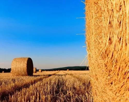 秸稈變墻板 煤灰成磚塊 新型建材環保又耐用